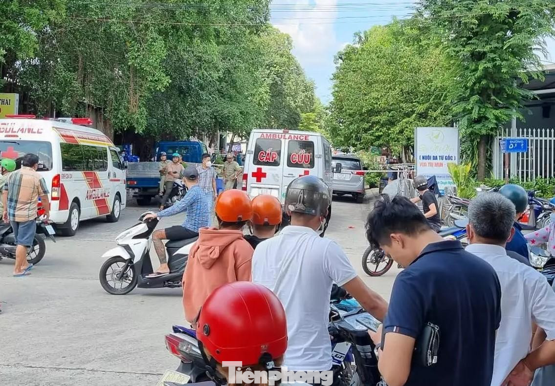 Hiện trường vụ việc