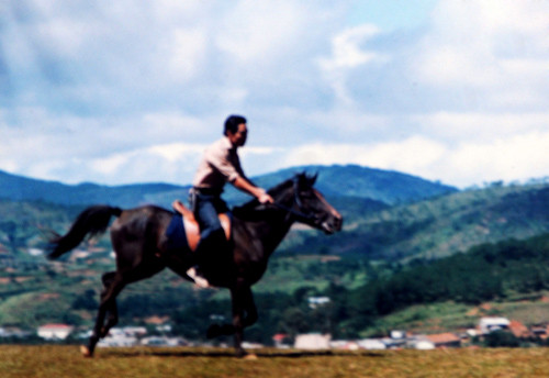 Cùng phi ngựa với 