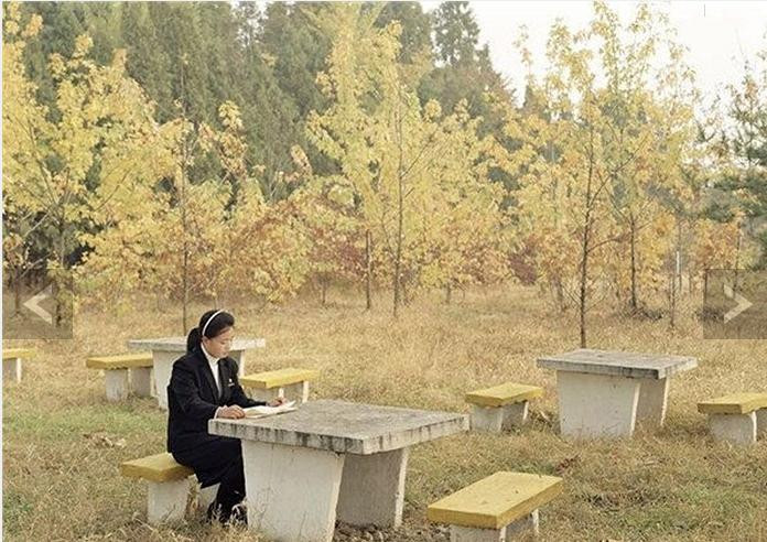 Một sinh viên ôn bài trong khuôn viên trường học