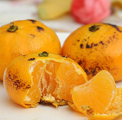 Trị ho bằng cam nướng cho trẻ