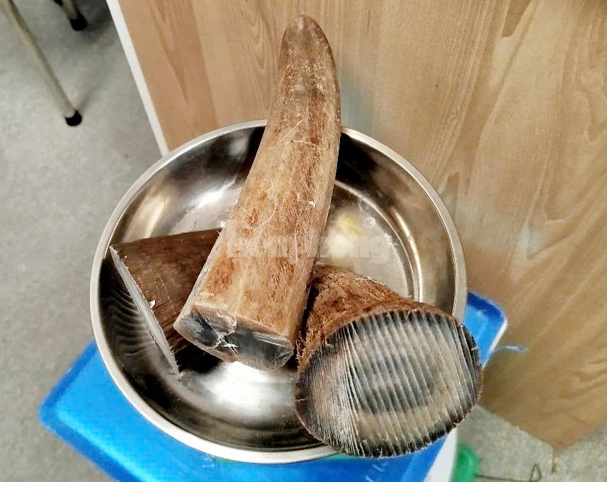 Lực lượng Hải quan Nội Bài đang phối hợp với các đơn vị liên quan xác minh, xử lý theo quy định.