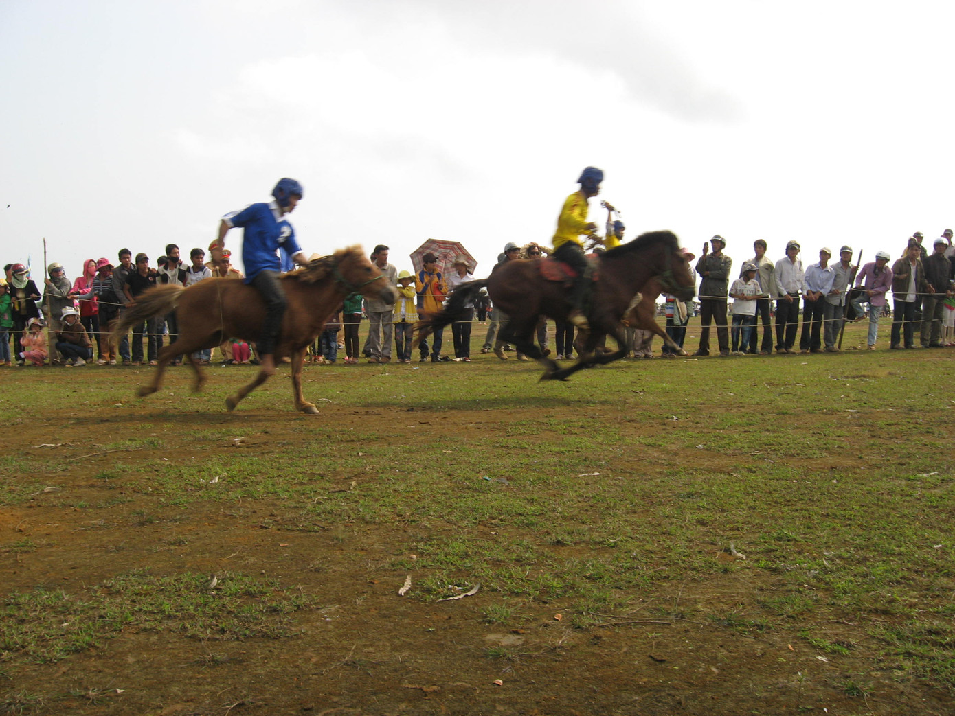 Phi nước đại về đích