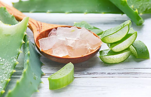 Mẹo đuổi muỗi giúp bạn ngủ không cần mắc màn ảnh 3