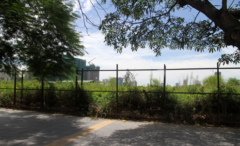 Cạnh khu đất này là lô đất rộng hơn 50.000 m2, ngay mặt đường Trần Duy Hưng (đối diện siêu thị Big C) cỏ mọc cao quá đầu người, hàng rào quây tôn chỉ còn trơ khung sắt