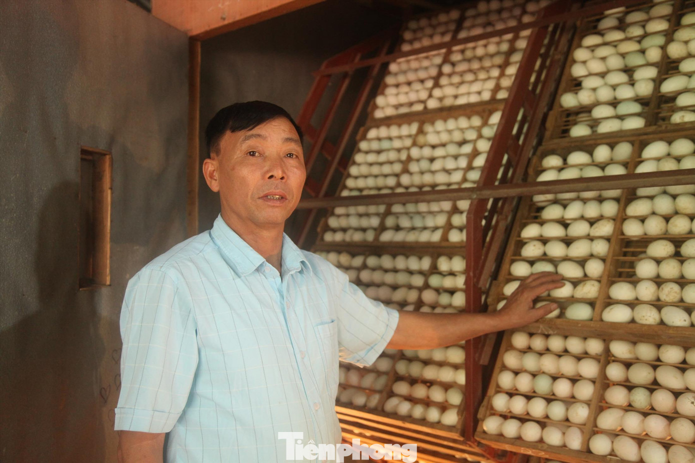 Ông Mùi thu tiền tỷ từ trang trại nuôi vịt