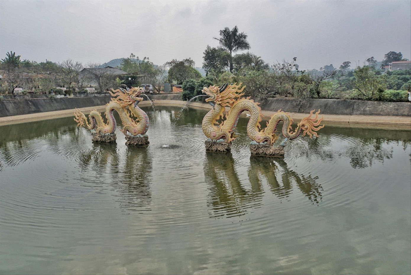 Ao cá trong trang trại của anh Hoa