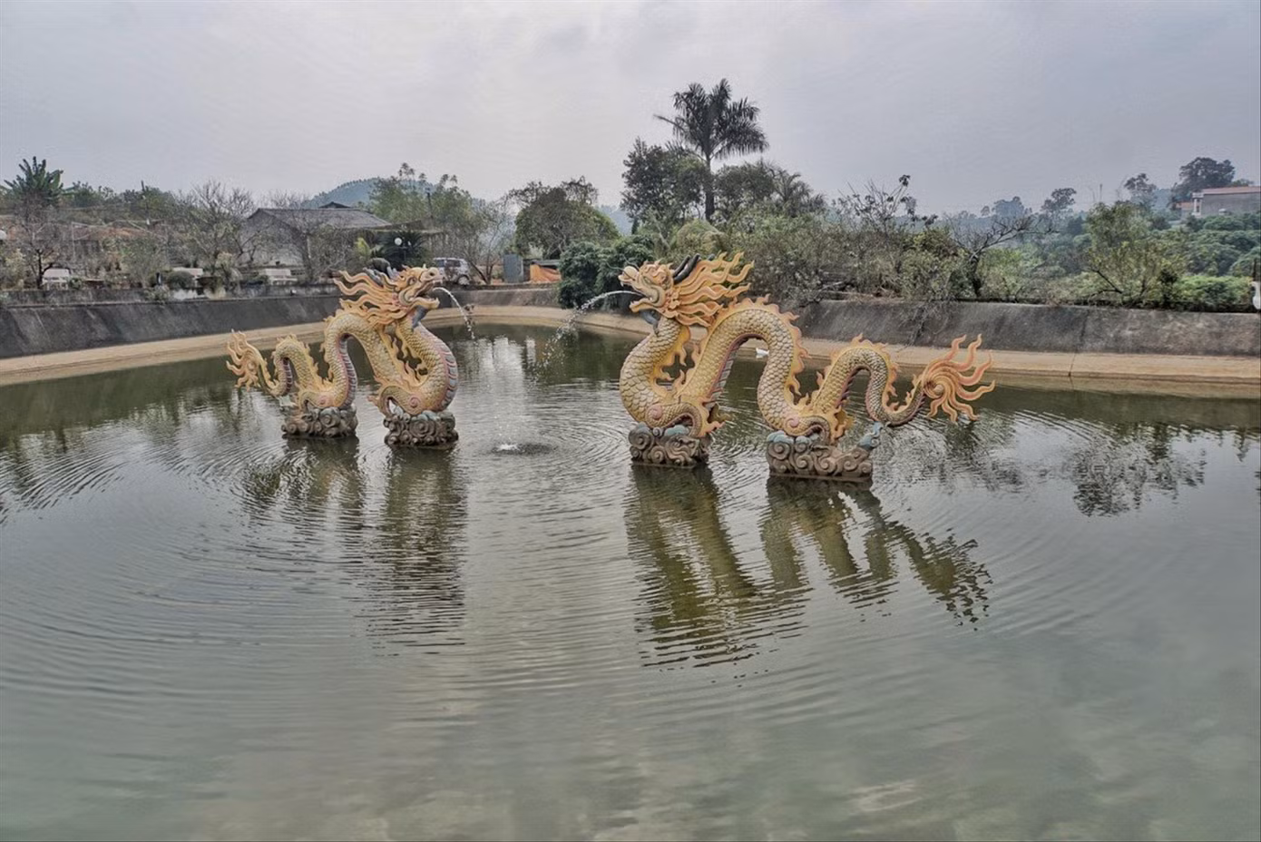 Ao cá trong trang trại của anh Hoa