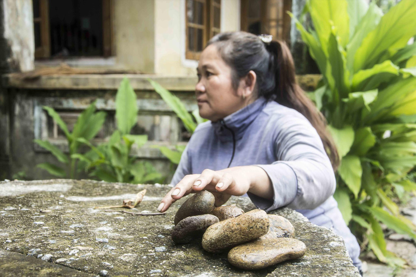 Vợ lão nông Sáu Lực với đống đá từng bị kẻ xấu ném vô nhà khủng bố tinh thần. Ảnh: Văn Chương
