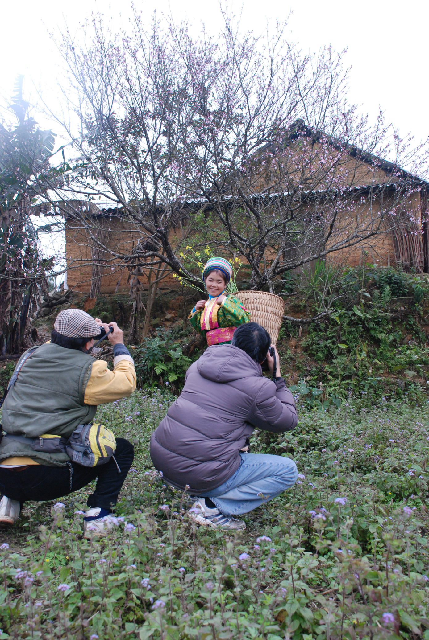 Cô gái Mông với hoa đào