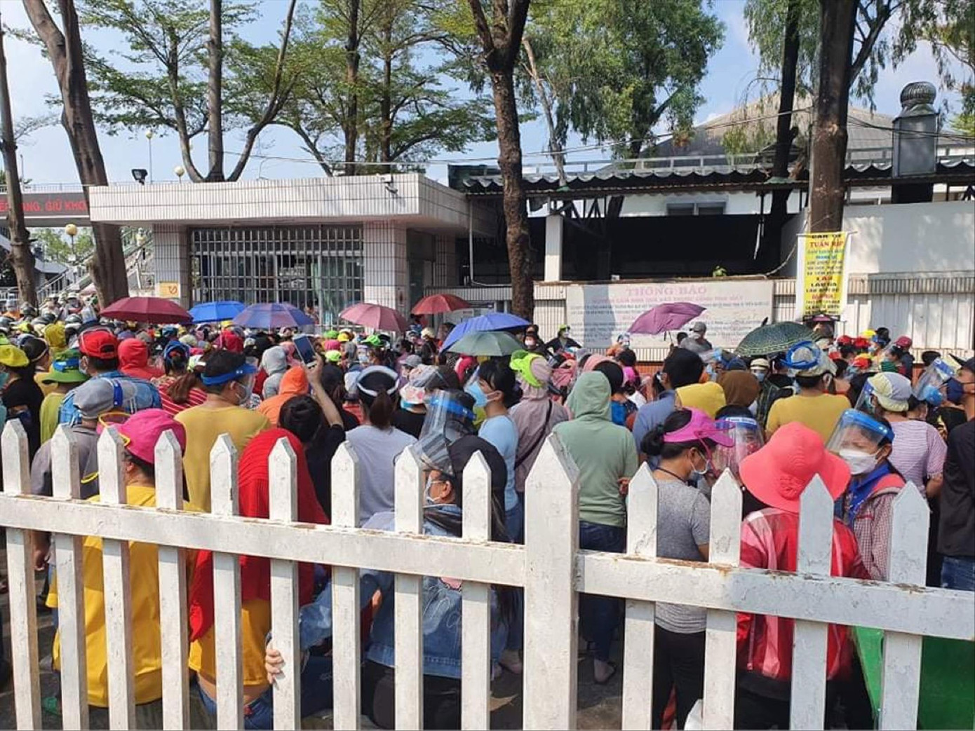 NLĐ tại Cty TNHH Pouchen Việt Nam ngưng việc từ nhiều ngày qua sau khi DN công bố thưởng Tết. Ảnh: Mạnh Thắng NLĐ tại Cty TNHH Pouchen Việt Nam ngưng việc từ nhiều ngày qua sau khi DN công bố thưởng Tết. Ảnh: Mạnh Thắng