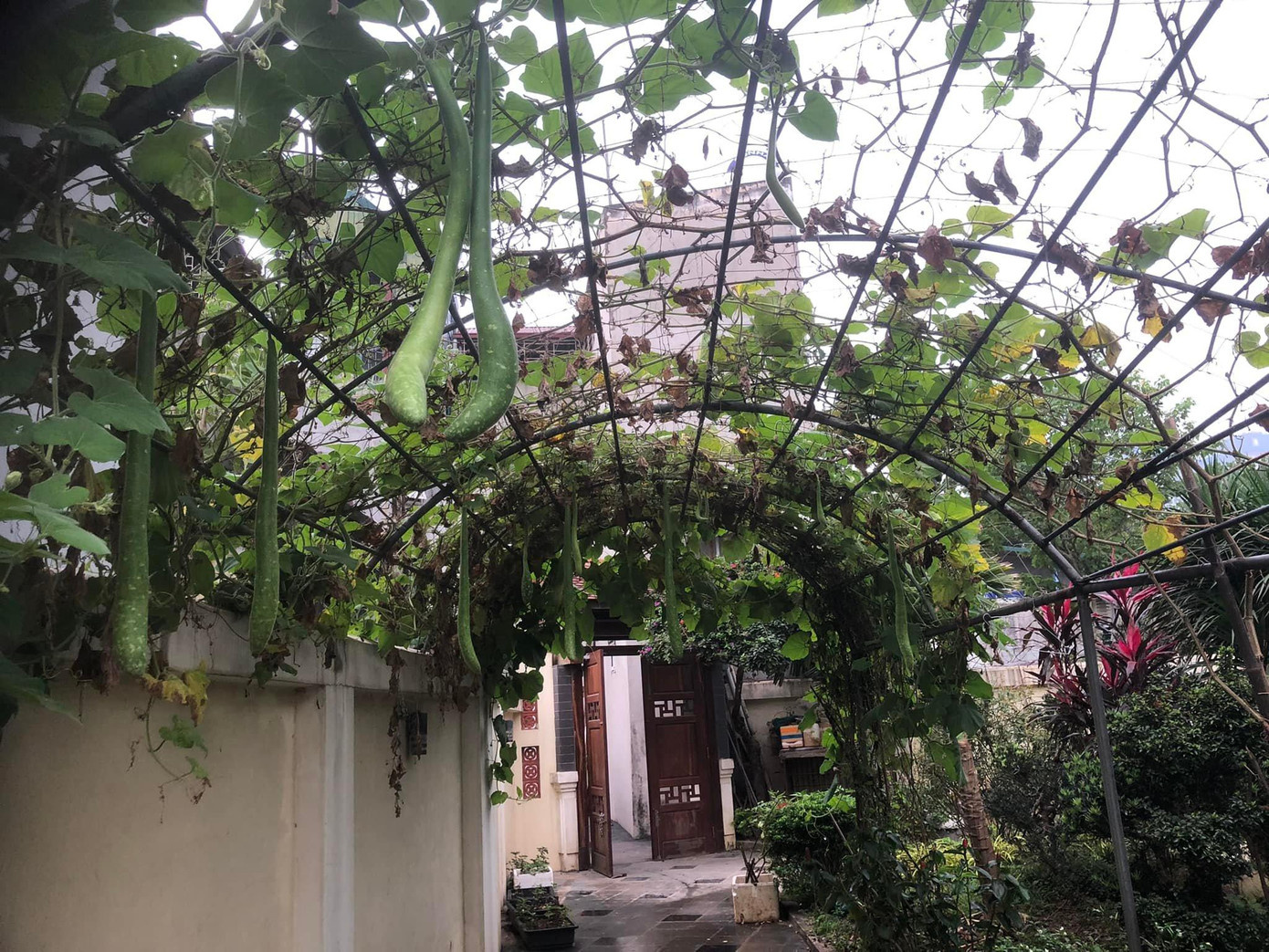 Cổng nhà ở Tây Mỗ Cổng nhà ở Tây Mỗ