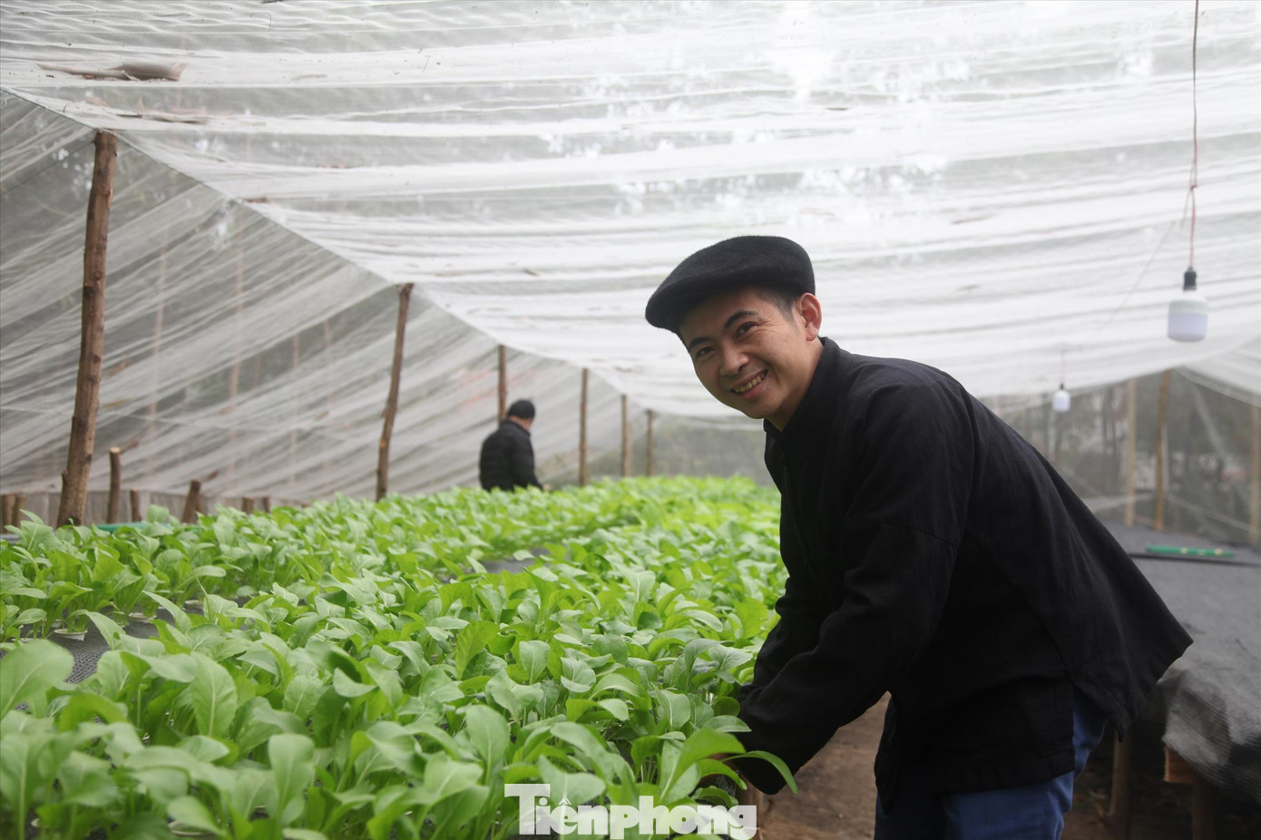 Phó Bí thư chi Đoàn bản Nghè, Hoàng Xuân Mau chăm sóc vườn rau thủy canh Phó Bí thư chi Đoàn bản Nghè, Hoàng Xuân Mau chăm sóc vườn rau thủy canh