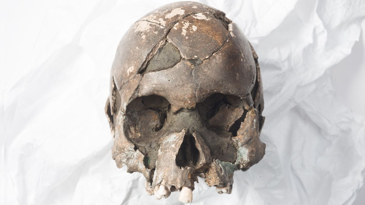 Hộp sọ của cậu bé thời kỳ đồ đá