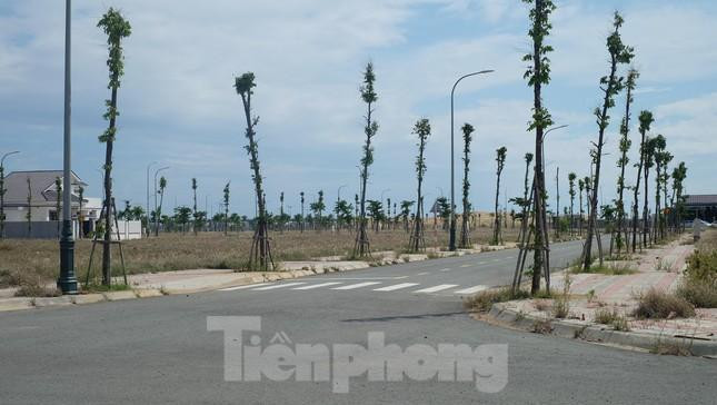 Khu đất bán đấu giá tại Khu đô thị Nam Tuy Hoà. Ảnh L.H