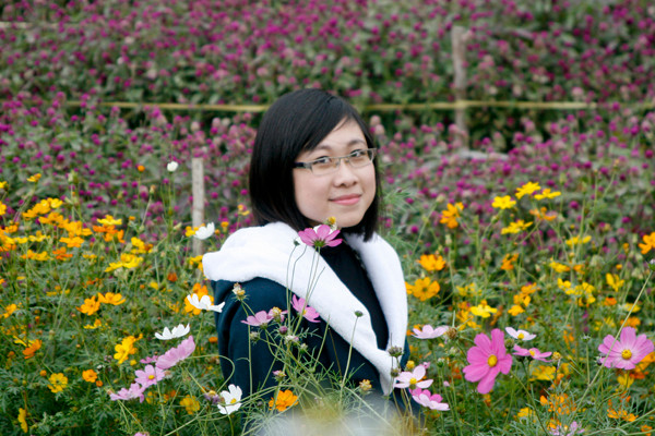 Hoa cúc được được các bạn trẻ yêu thích hơn cả