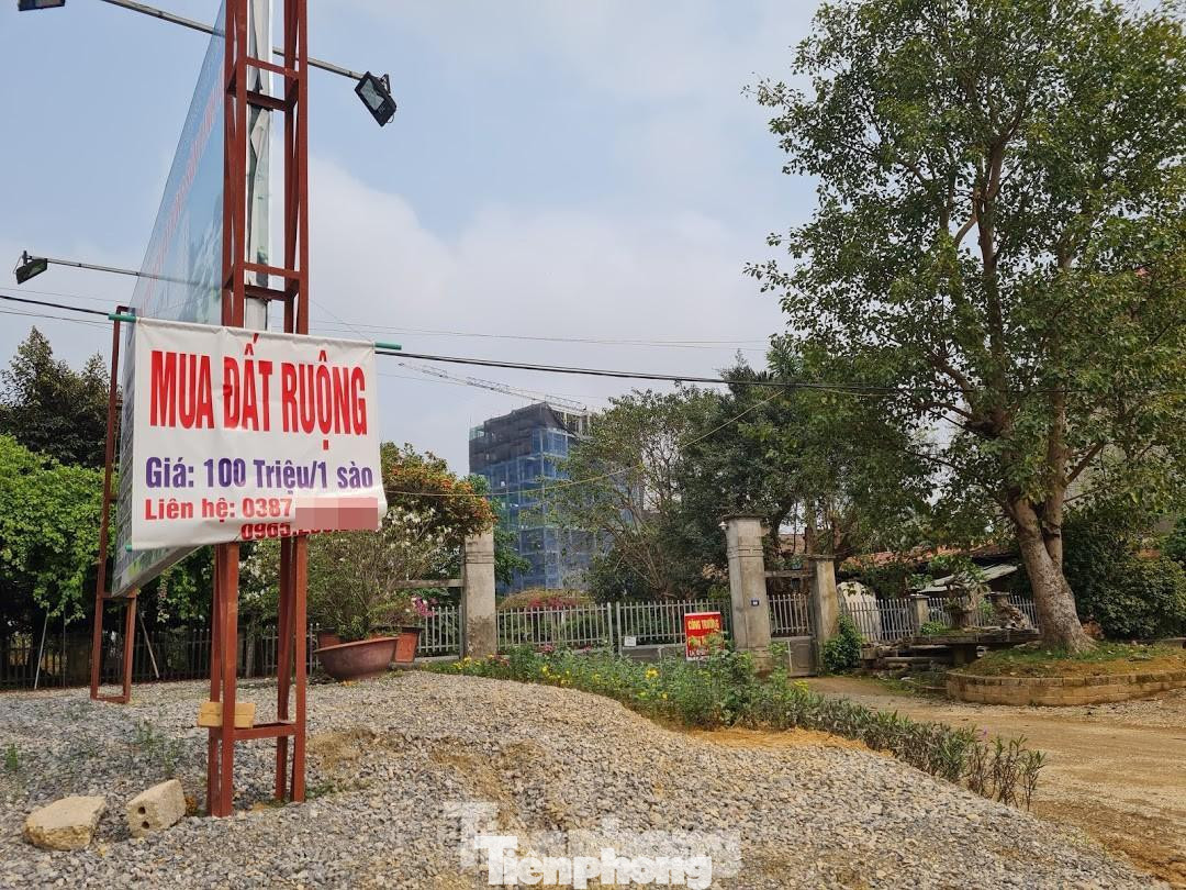 Thủ tướng Chính phủ giao Bộ Tài nguyên và Môi trường, Bộ Xây dựng và các cơ quan liên quan nghiên cứu biện pháp hạn chế tình trạng &quot;sốt đất&quot; tại nhiều địa phương.