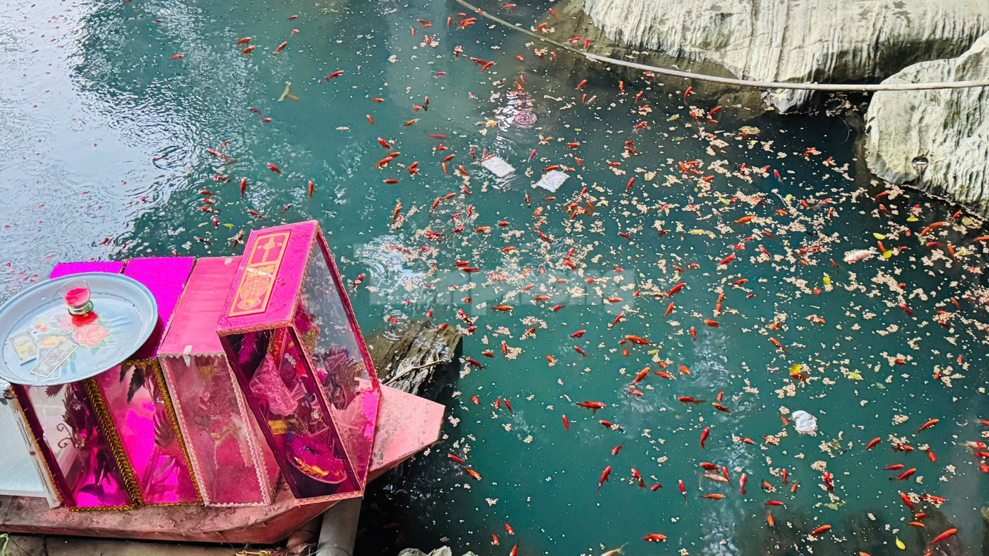 Môi trường nước tại khu vực 9 giếng trước cửa Đền Cô Chín được chụp chiều 30/1. Ảnh: Nghiêm Huê