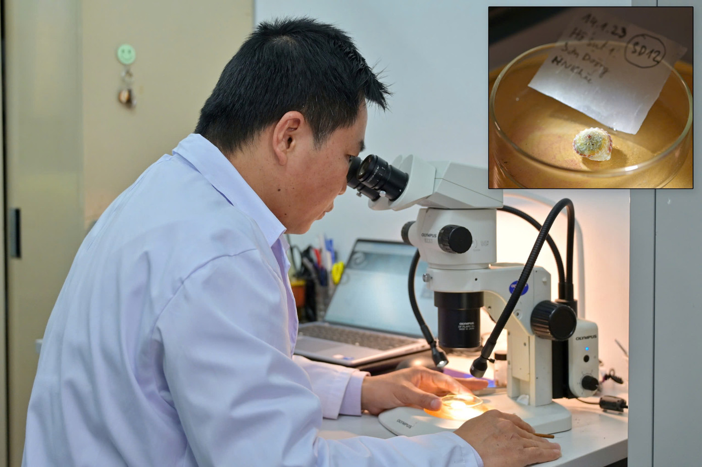 TS. Đỗ Đức Sáng đang phân tích mẫu vật ốc tại Bộ môn Động vật học ứng dụng, Khoa Sinh học, Trường Đại học Khoa học Tự nhiên, ĐHQG Hà Nội. Ảnh: Nguyễn Thanh Sơn TS. Đỗ Đức Sáng đang phân tích mẫu vật ốc tại Bộ môn Động vật học ứng dụng, Khoa Sinh học, Trường Đại học Khoa học Tự nhiên, ĐHQG Hà Nội. Ảnh: Nguyễn Thanh Sơn