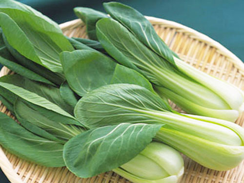 Những người 'đại kỵ' tuyệt đối không ăn rau cải vì cực kỳ nguy hiểm ảnh 1