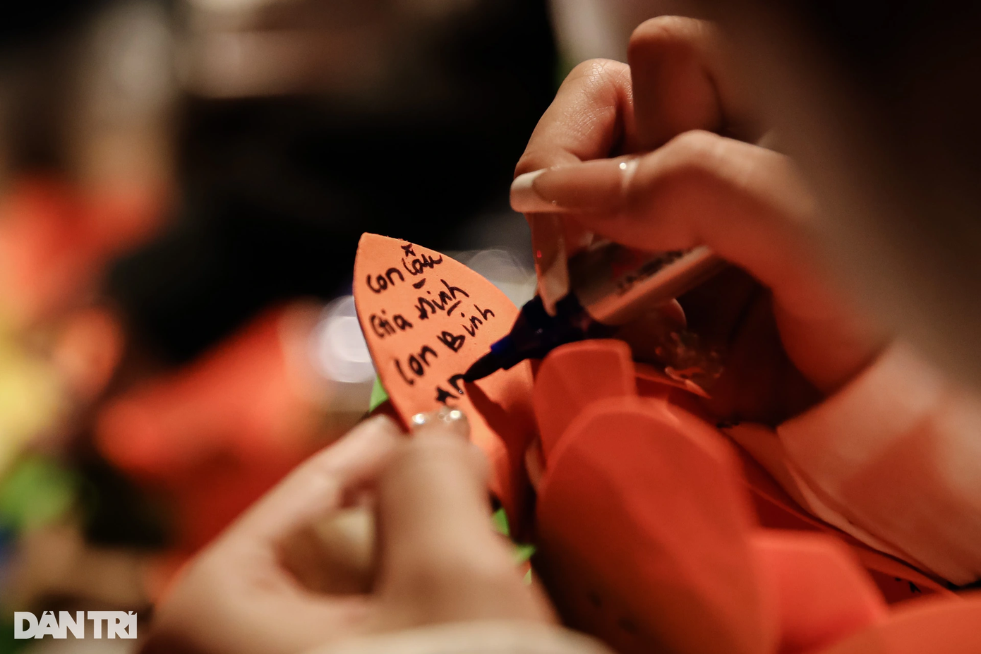 Lời cầu nguyện "gia đình con bình an" được người dân viết lên hoa đăng.