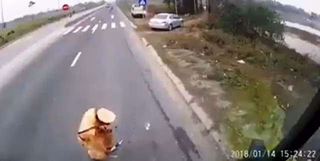 Giám đốc Công an Hà Nam nói về vụ CSGT giẫm lên vật nghi là tiền ảnh 2