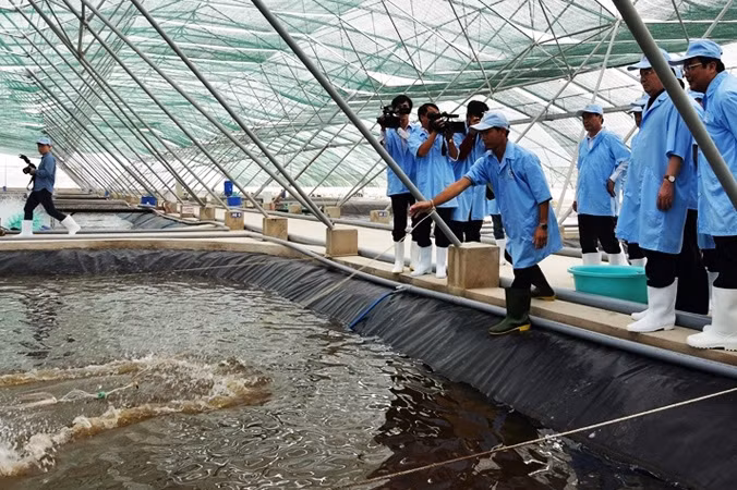 Bạc Liêu 'Khơi dậy tiềm năng- Phát triển bền vững' ảnh 1