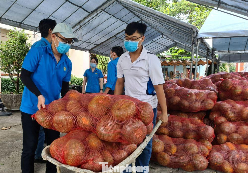 Hàng hóa chuyển từ tỉnh Lâm Đồng đến Bình Dương Hàng hóa chuyển từ tỉnh Lâm Đồng đến Bình Dương