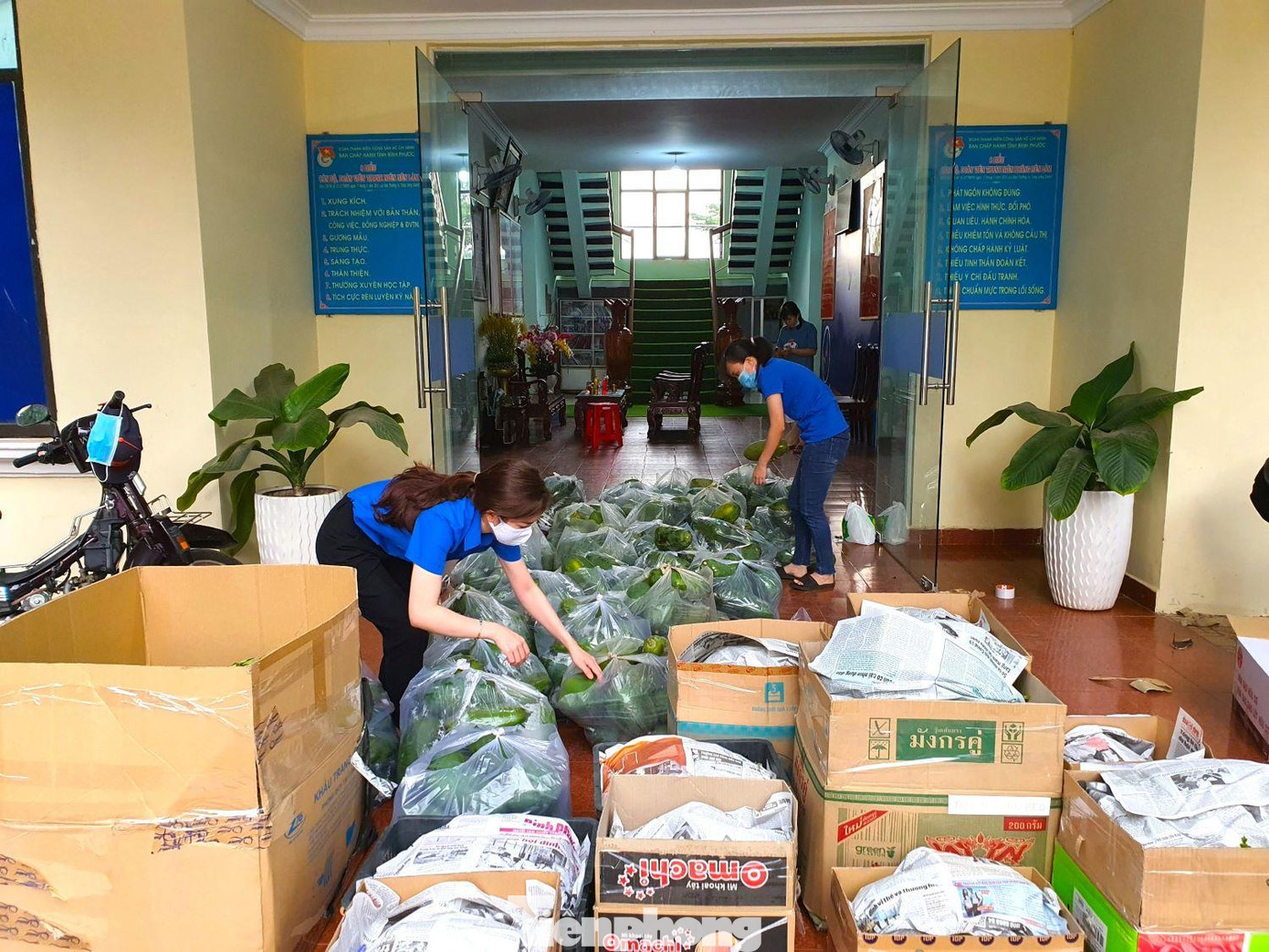 Nông dân Bình Phước ủng hộ rau, củ, quả cho người dân TP.HCM Nông dân Bình Phước ủng hộ rau, củ, quả cho người dân TP.HCM