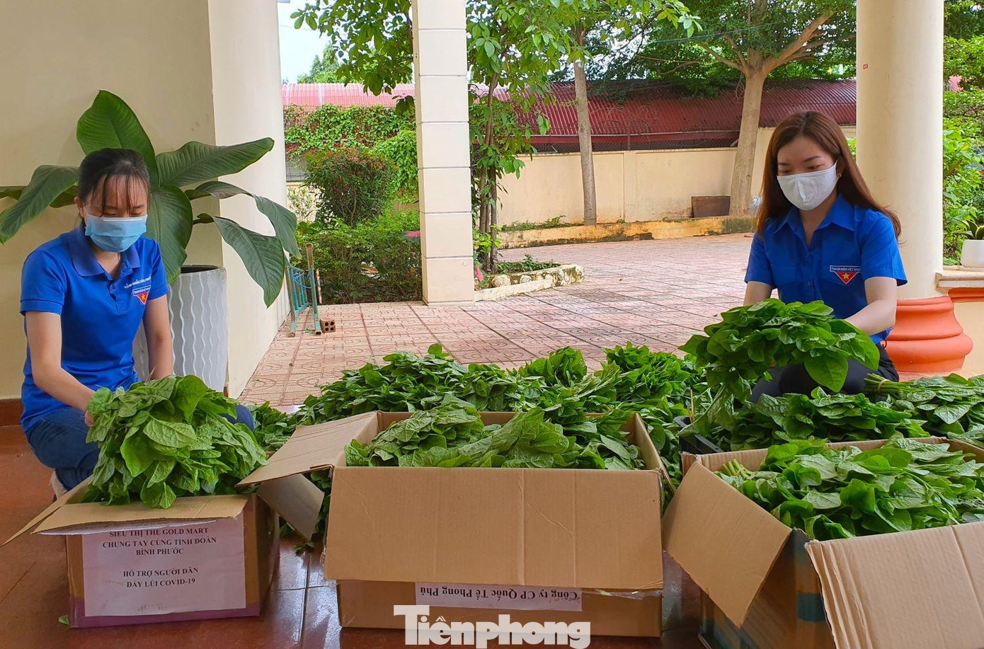 Tuổi trẻ Bình Phước chuẩn bị rau, củ để chuyển đến TP.HCM Tuổi trẻ Bình Phước chuẩn bị rau, củ để chuyển đến TP.HCM
