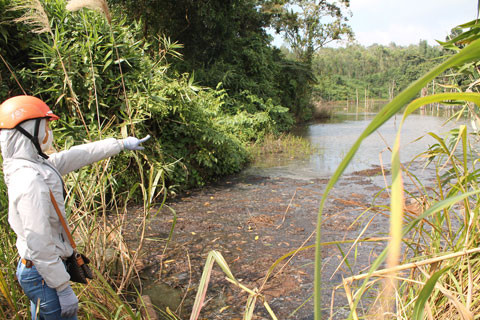 Vỏ cà phê nổi đen mặt đập Ea Kut