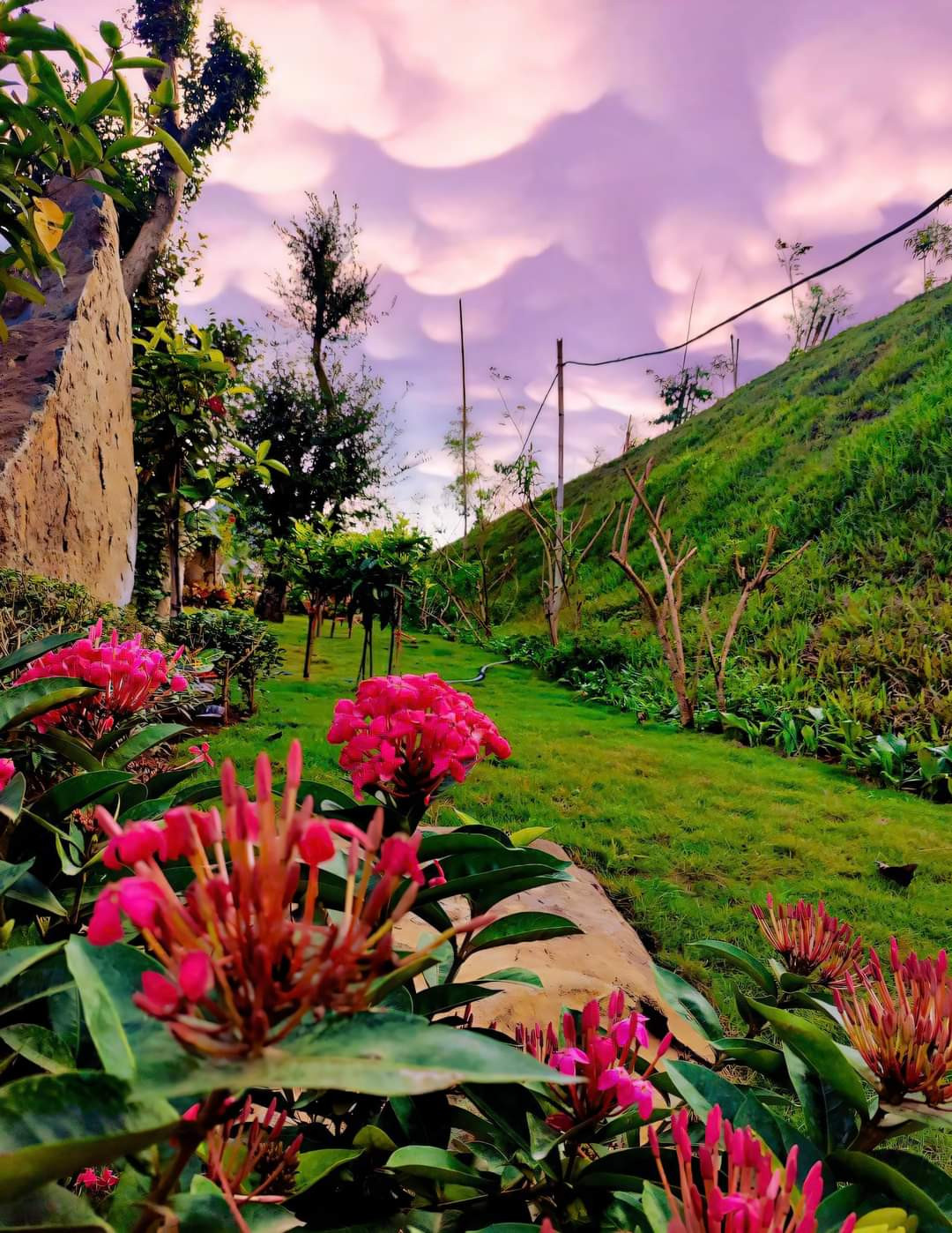 Resort có nhiều góc check-in lý tưởng cho du khách