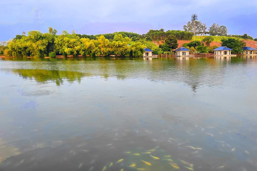 Soi bóng lúc hoàng hôn