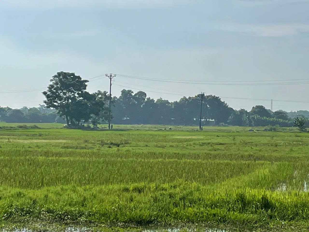 Khu vực đã hoàn thành giải phóng mặt bằng, thực hiện đấu giá để mời chào nhà đầu tư