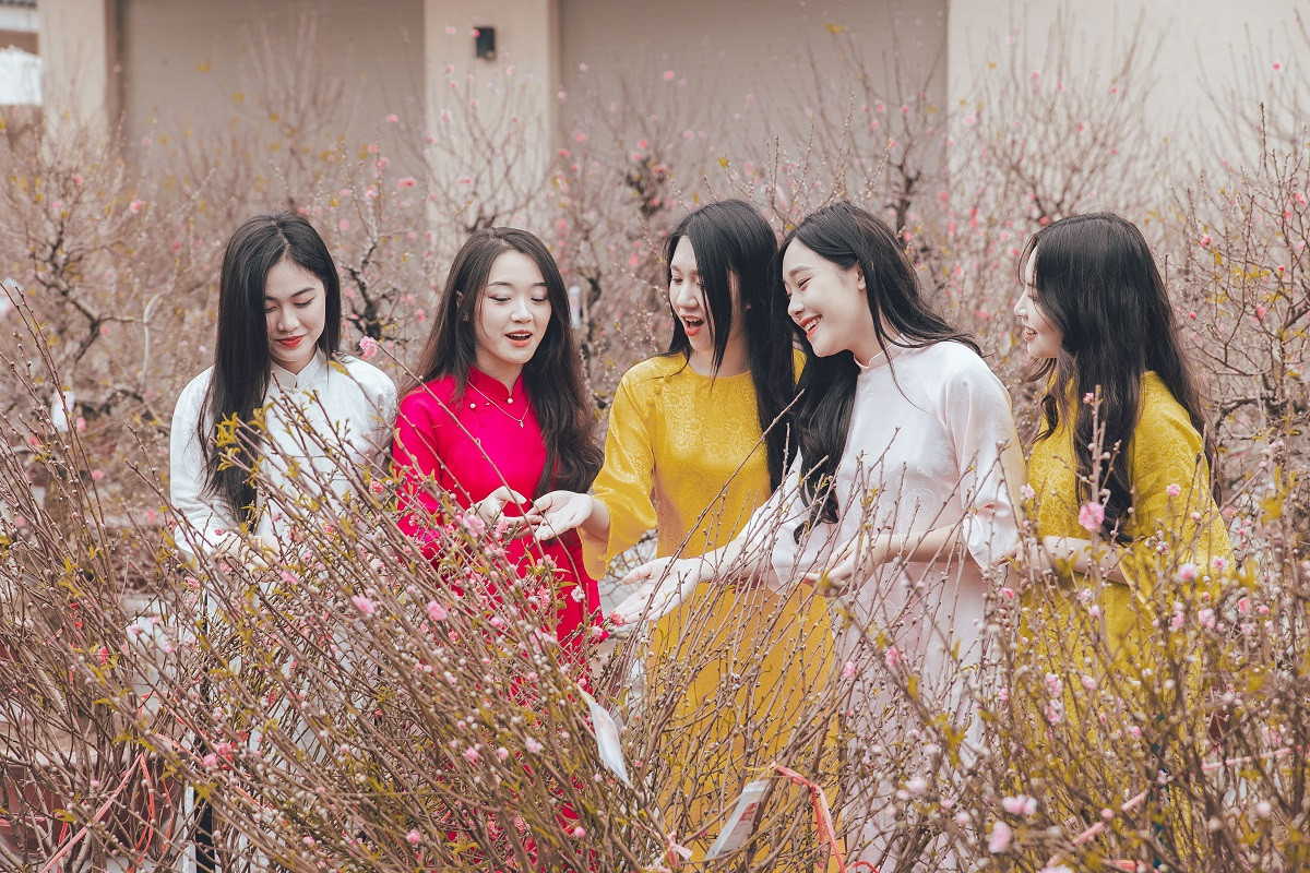 Các gốc đào Sơn La cổ đầu tiên đã tìm được chủ nhân ngay trong ngày đầu khai chợ