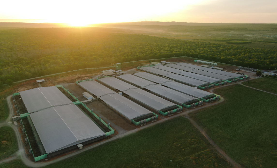 GREENFEED kiên định với hướng đi nâng tầm GREENFEED trở thành thương hiệu hàng đầu, hiệu quả, đáng tin cậy trên toàn chuỗi thực phẩm trong và ngoài nước