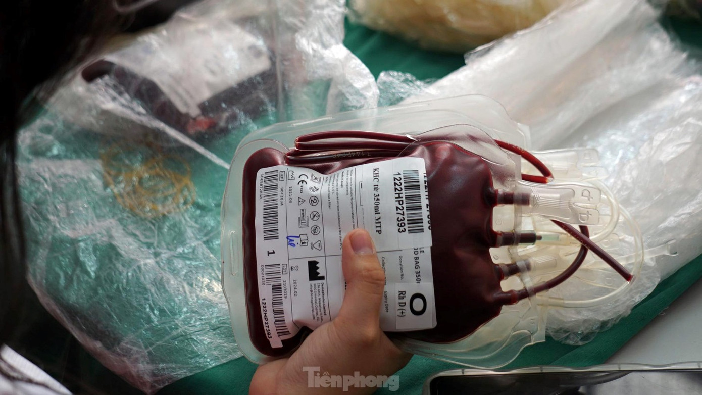 Chủ nhật Đỏ lần thứ XV năm 202, đã thu được gần 60.000 đơn vị máu. Qua đó, góp phần hỗ trợ cho các bệnh nhân nghèo,nạn nhân tai nạn giao thông, người cần máu tại các địa phương, bệnh viện lớn.