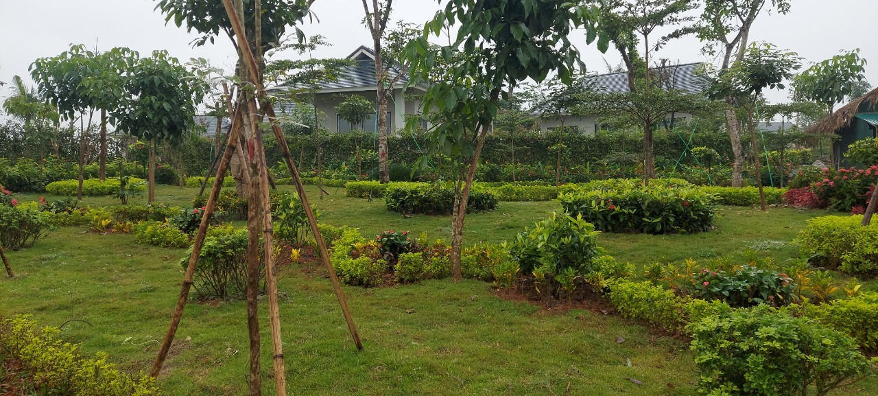 Chỉ là một góc nhỏ đã thể hiện độ lớn cho toàn khu Resort