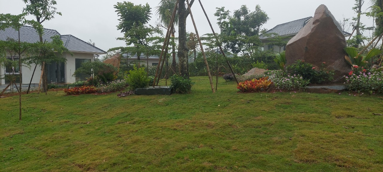 Bất chấp tiết trời giá rét, hoa đã khoe sắc bao quanh những Bungalow neo trên đồi