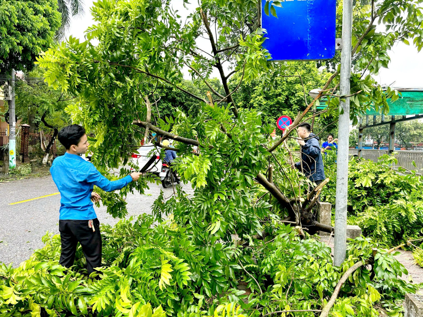 Thu dọn cây cối đổ ngổn ngang trên các tuyến phố