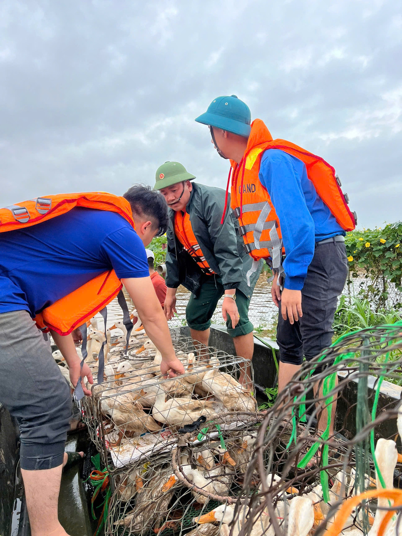 Thanh niên tình nguyện Hà Nội hỗ trợ người dân di dời tài sản khỏi vùng ngập lụt