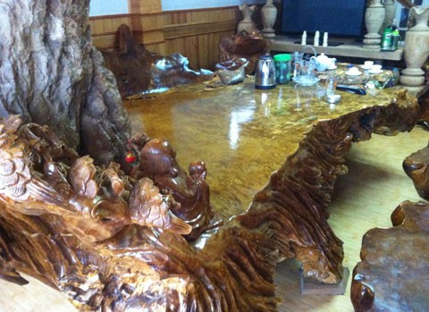 Gốc cây ngàn tuổi và nỗi thèm khát của dân chơi ảnh 3