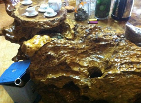 Gốc cây ngàn tuổi và nỗi thèm khát của dân chơi ảnh 4