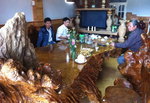 Gốc cây ngàn tuổi và nỗi thèm khát của dân chơi ảnh 10