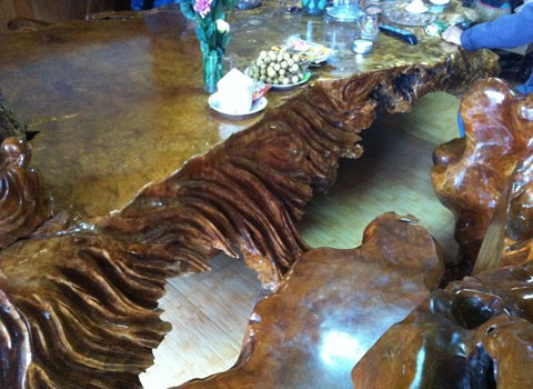 Gốc cây ngàn tuổi và nỗi thèm khát của dân chơi ảnh 9