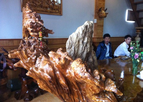 Gốc cây ngàn tuổi và nỗi thèm khát của dân chơi ảnh 2