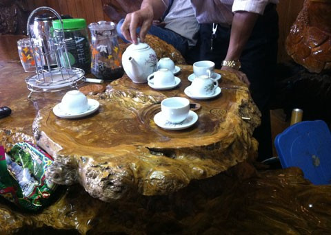 Gốc cây ngàn tuổi và nỗi thèm khát của dân chơi ảnh 5