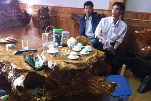 Gốc cây ngàn tuổi và nỗi thèm khát của dân chơi ảnh 8