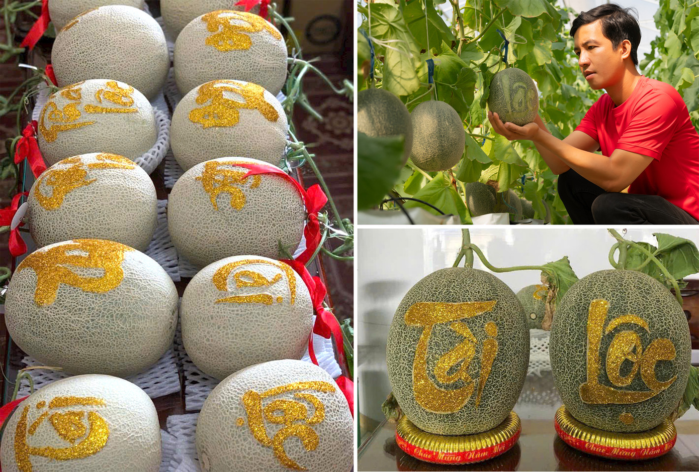 Anh Nguyễn Hoàng Duy cung ứng ra thị trường dưa khắc chữ. Ảnh: NVCC Anh Nguyễn Hoàng Duy cung ứng ra thị trường dưa khắc chữ. Ảnh: NVCC