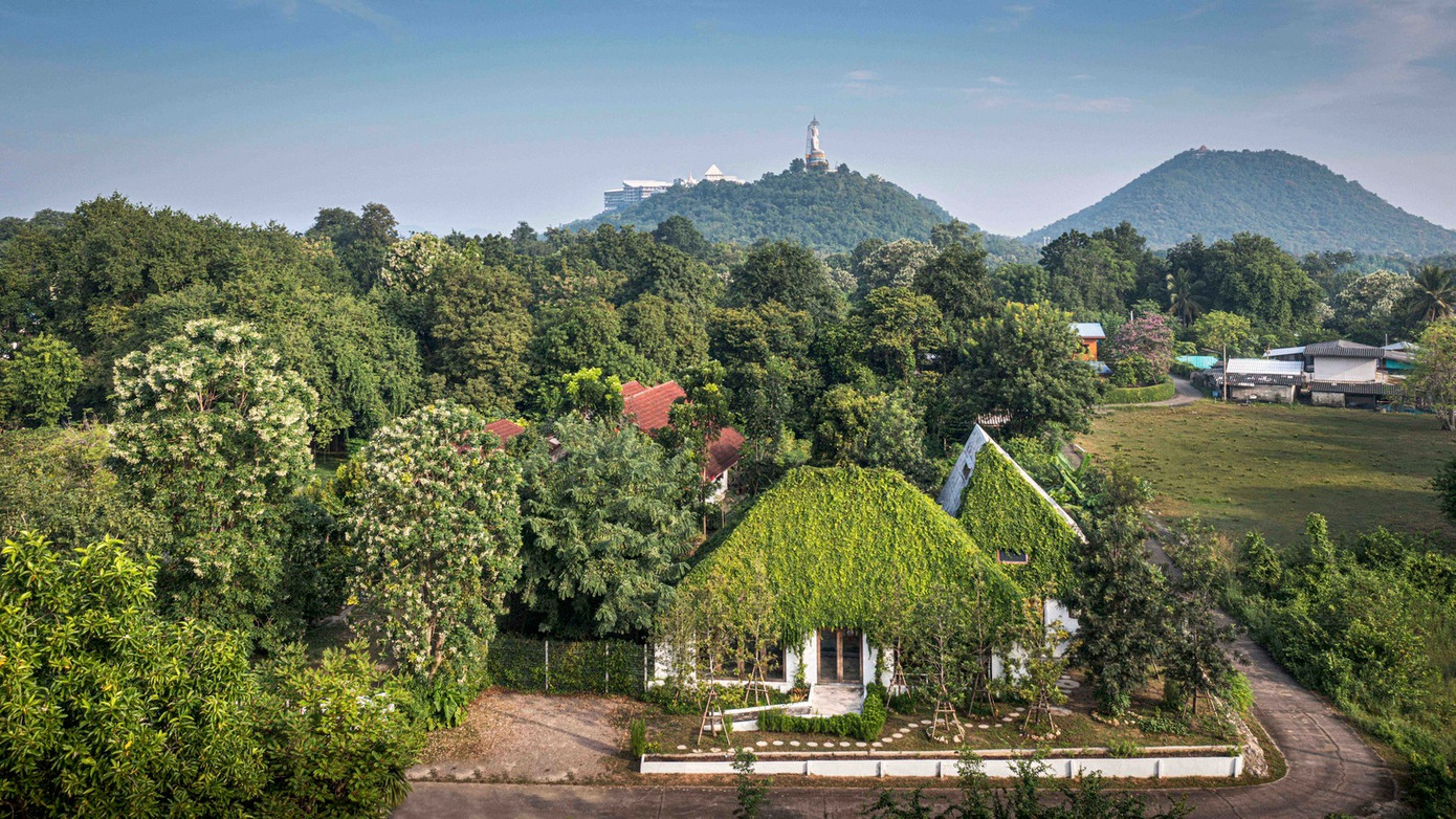 Những cây lớn được trồng để tạo bóng mát, giúp ngôi nhà luôn mát mẻ. Những cây lớn được trồng để tạo bóng mát, giúp ngôi nhà luôn mát mẻ.