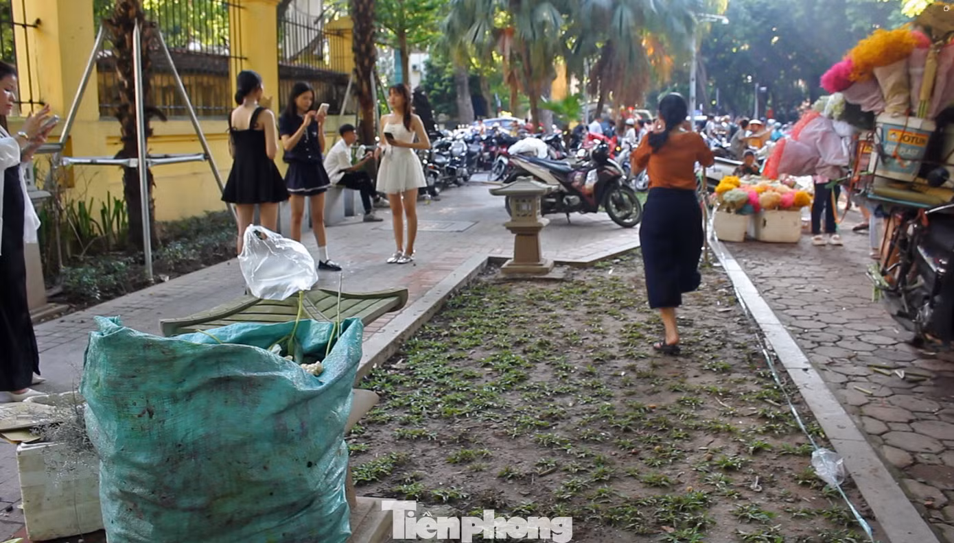 Bãi cỏ mới trồng ở khu vực vỉa hè chưa kịp tươi tốt, đã bị nhiều “nàng thơ” và người qua lại dẫm nát.